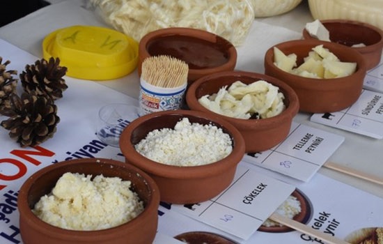 3-й Международный фестиваль сыра стартовал в турецком курортном городе Бодрум